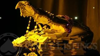 alligator